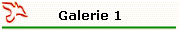 Galerie 1